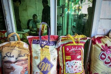 قیمت جدید برنج ایرانی و خارجی در بازار/گرانتر از این رقم نخرید