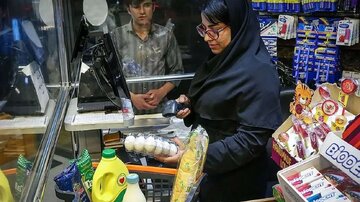 قیمت مرغ و تخممرغ در بازار اعلام شد/ برادری: خرید هیجانی نکنید