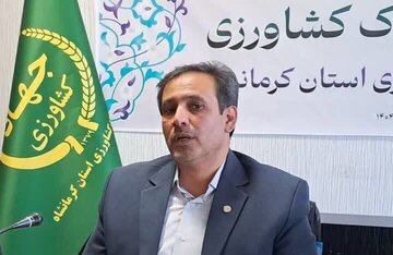 مدیرکل جهاد کشاورزی استان کرمانشاه خبرداد:نظارت شدید و برخورد قاطع با گرانفروشیها