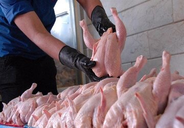 نیازی به توزیع گوشت و مرغ تنظیم بازاری نیست