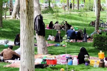 اجرای پویش ملی سرو ایران همزمان با روز طبیعت