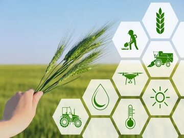 اعلام ضریب امنیت غذایی در ایران/ چقدر از مواد غذایی مورد نیاز در ایران تولید میشود؟
