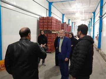 بازدید مدیرکل استاندارد لرستان از سردخانه ۴ هزار تنی بروجرد