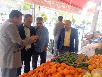 بازرسی میدانی از بازار کلانشهر شیراز با هدف نظارت بر قیمتها