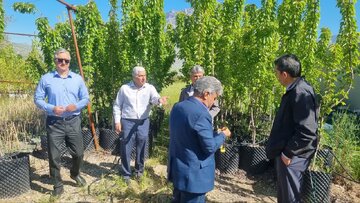 بررسی وضعیت تولید نهالهای باغی و توسعه نهالستانهای استاندارد در لرستان