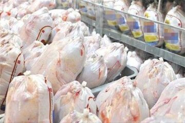 توزیع ۸۱ تن گوشت مرغ گرم در لرستان در راستای تنظیم بازار
