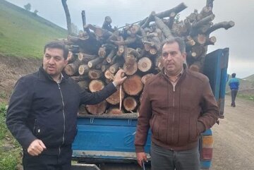 توقیف ۲ تن چوب وهیزم قاچاق در اردبیل