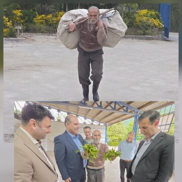 فرماندار لنگرود در گفتگو با خبرآنلاین خبر داد:
جایگاه ویژه لنگروددر تولید وتجارت چای کشوراست