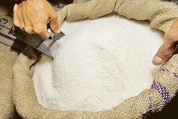 قیمت شکر از این تاریخ تغییر میکند/ جزییات قیمت شکر فله و بسته بندی در بازار