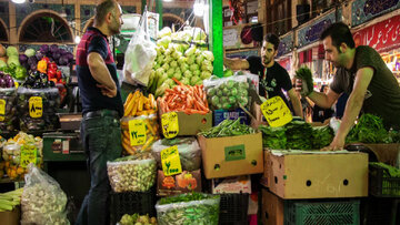 قیمتهای عجیب از میوههای نوبرانه؛ گوجهسبز ۸۰۰ هزار تومان، چغاله ۵۰۰ هزار تومان