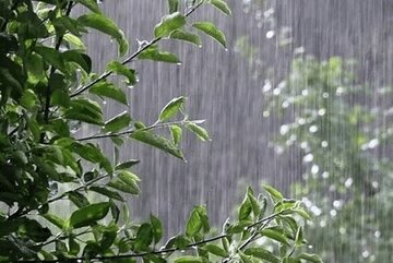 مشکل خشکسالی در کدام استانها حل شد؟/ جدیدترین آمار وزارت نیرو منتشر شد