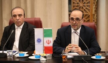 معاون دادگستری اردبیل: اجرایی نشدن مصوبات ستاد تسهیل آزاردهنده است