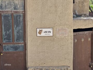 نصب تابلوی نمادین اسامی کوچه های روستای قلعه بالای شاهرود