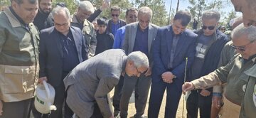 نهال امید در استانسمنان غرس شد/اهمیت ترویج فرهنگ درختکاری بهعنوان یک ضرورت ملی و راهبردی است