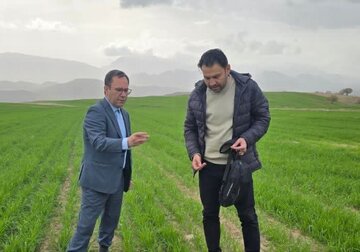 پایش مستمر مزارع لرستان در برابر عوامل خسارتزای گیاهی