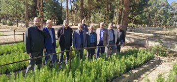یکمیلیارد مترمکعب رواناب؛ رهاورد طرحهای آبخیزداری برای تقویت آب زیرزمینی سمنان