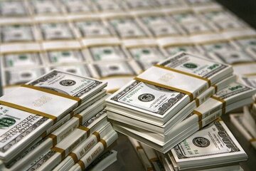 ارز تکنرخی سیاست درستی است اما عملا ارز تک نرخی نشده و برای تولیدکننده و واردکننده قیمت ارز بالاتر از رقم واقعی است