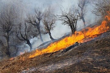 اطفای سه فقره آتش سوزی در اراضی ملی شهرستان کوار