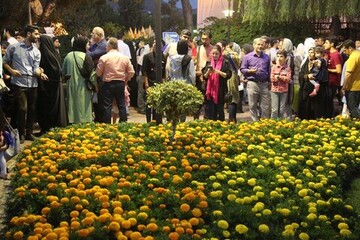 بازدید از نمایشگاه گل و گیاه مشهد رایگان شد