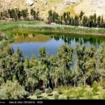 تالابهای فیروزهای لرستان؛ نبض حیات در زاگرس