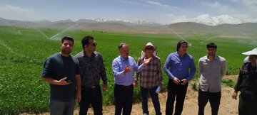 تکمیل پروژه آبیاری تحت فشار روستای کندرچه الیگودرز گامی در جهت اشتغالزایی و توسعه پایدار