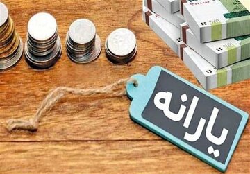 دولت زیر بار یارانه کالایی و غیرنقدی نرود/ یارانه کالایی خطای بزرگ و ریختن پول به جیب رانت خواران است/ راه حل، افزایش یارانه نقدی است