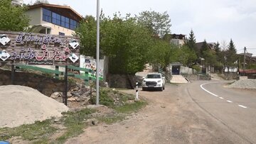 «شانهتراش» در رویای جهانی شدن