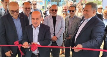 ظرفیت تولید ماهی در خزر، چندین برابر صید سنتی میشود
