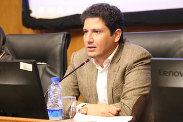 معاون اقتصادی استاندار کرمان جزییات طرح اشتغال برای جذب نیروهای تعدیلشده را اعلام کرد