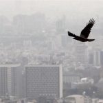 هزینه ساخت هر متر مسکن اعلام شد/ وام نهضت ملی مسکن ۲ برابر میشود؟