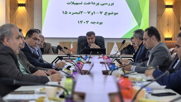پرداخت ۸۰ درصدی تسهیلات مشاغل خانگی در ایلام؛ تلاش برای عبور از مرز ۹۰ درصد