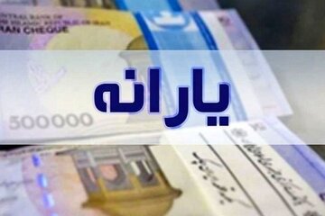 یارانه جدید در راه است/ کدام خانوارها مشمول سبد غذایی رایگان میشوند؟
