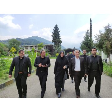 احیای صنایع با فناوری نوین؛ راهبرد توسعه اقتصادی سوادکوه شمالی