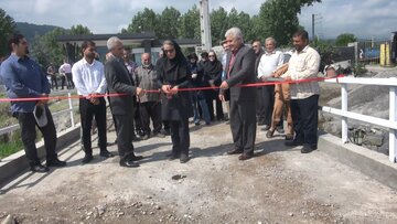 استقرار ۱۰ درصد کلینیکهای مرجع گیاهپزشکی کشور در مازندران