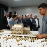 افتتاح واحد بستهبندی تخممرغ در شهرستان آبیک