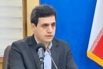 ایجاد بیش از ۱۰ خانه فرهنگ کار در واحدهای اقتصادی بالای ۵۰ نفر لرستان