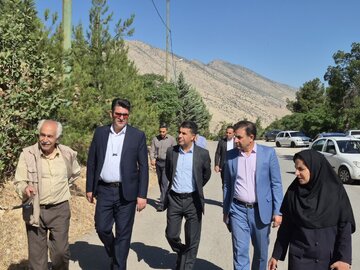 تاکید معاونت خدمات شهری شهرداری خرمآباد بر حفاظت از بلوط های شهری