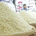 خبر خوش برای بازار برنج / افزایش تولید برنج در راه است