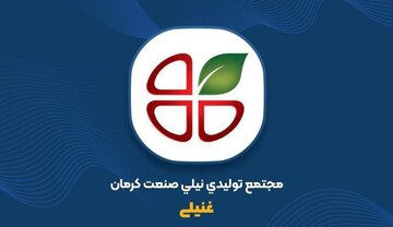 رشد ۲۶۶ درصدی درآمد «غنیلی» کرمان در سال ۱۴۰۴