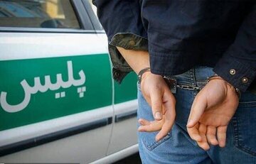 عامل بروز حریق جنگل پاسارگاد روانه زندان شد