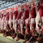 قیمت جدید دام زنده اعلام شد/ پوریان: منتظر این تغییر مهم قیمتی در بازار گوشت باشید