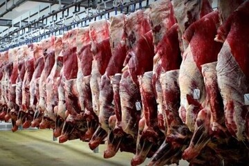 قیمت جدید دام زنده اعلام شد/ پوریان: منتظر این تغییر مهم قیمتی در بازار گوشت باشید