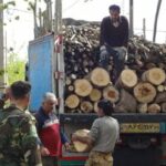 کشف بیش از ۲۶ تن چوب قاچاق به ارزش ۳۰۰ میلیون تومان در لنگرود