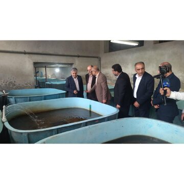 احیای ذخایر ماهیان خاویاری، سرمایه‌گذاری برای آینده اقتصاد دریامحور مازندران است