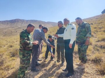 باریجه، گنج سبز مراتع آرادان؛ مدیرکل منابع طبیعی و آبخیزداری استان بر برداشت اصولی و حفاظت از رویشگاه‌ها تأکید کرد