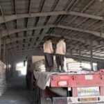 توزیع ۱۰۰۰ تن کود یارانه‌ای در رفسنجان توسط شرکت خدمات حمایتی کشاورزی