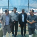 تکمیل زنجیره تولید، گامی برای تضمین سلامت محصولات شیلاتی در مجتمع شهید سلیمانی