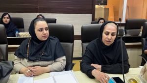 خیز بیمه «دی» برای تحول در خدمات درمانی/ رویکرد جدید برای تسهیل دسترسی و افزایش رضایتمندی بیمه‌شدگان در کردستان