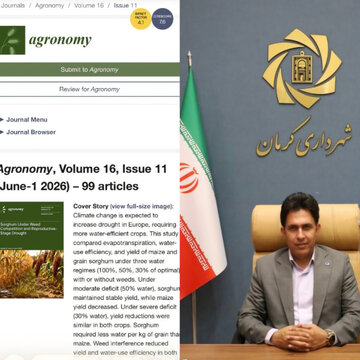 دستاورد علمی معاون شهرداری کرمان در سطح جهانی/ راهکار مقابله با تنش سرمایی در فضای سبز شهری منتشر شد