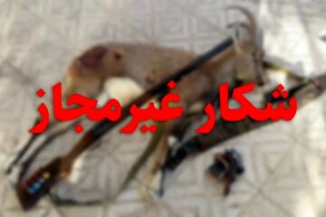 دستگیری متخلف شکار و صید در حاجی آباد هرمزگان